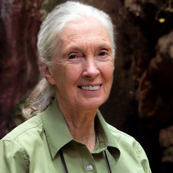 Dr. Jane Goodall in Conversation with Peter Wohlleben